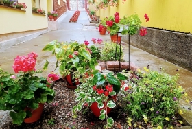 Casa Voica